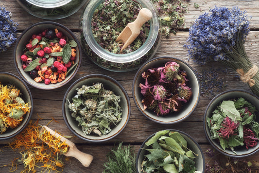 Health Benefits of Herbs: Do They Really Have The Power to Heal?