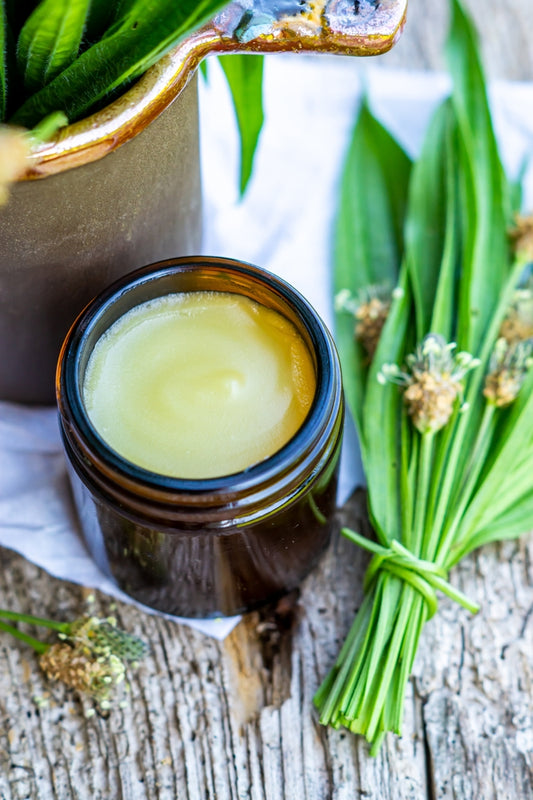 Healing Salve or Cream